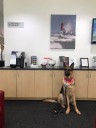 The waiting area at our service center, located at Tinley Park, IL, 60477 is a comfortable and inviting place for our guests. You can rest easy as you wait for your serviced vehicle brought around!