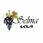 We are Selma Kia Auto Repair Service! With our specialty trained technicians, we will look over your car and make sure it receives the best in automotive repair maintenance!